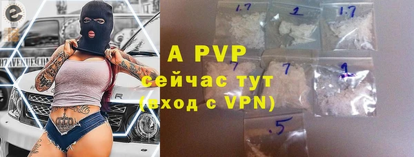 дживик Верея