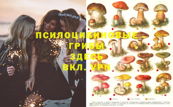 дживик Верея